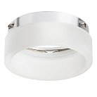 Насадка Lightstar 202430 торцевая с рассеивателем на светильник RULLO HP16 МАТОВЫЙ
