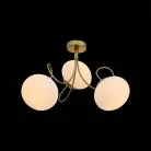 Светильник потолочный Evoluce SL717.202.03 ACINI