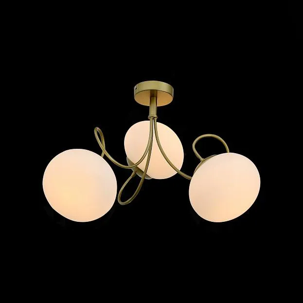 Светильник потолочный Evoluce SL717.202.03 ACINI