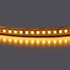 Лента теплого белого свечения 24V Lightstar 421003