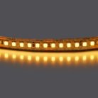 Лента теплого белого свечения 24V Lightstar 421003