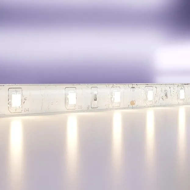 Светодиодная лента Maytoni Led Strip 10139