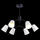 Светильник потолочный Черный/Белый E14 6*40W Evoluce SLE155942-06 Mario