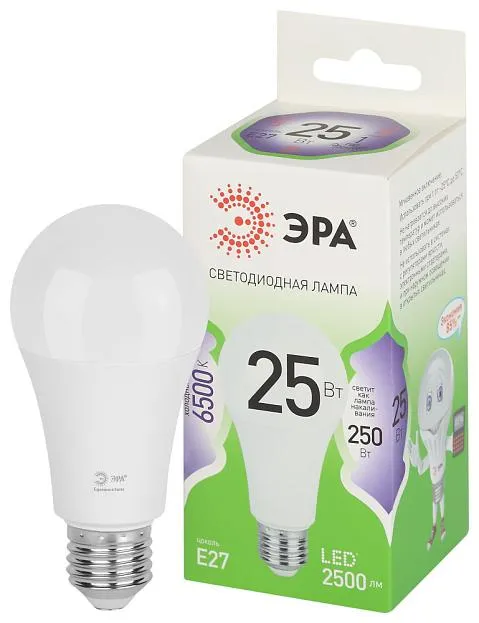 Лампочка светодиодная ЭРА LED A60-25W-865-E27 GL