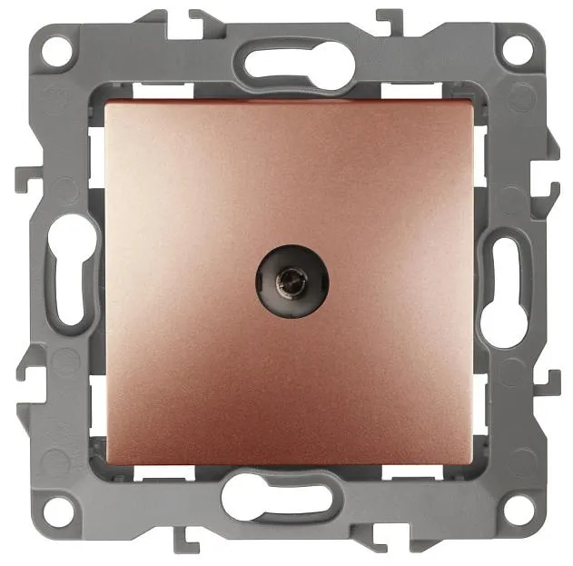 Розетка ЭРА 12-3102-14