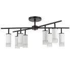 Потолочная люстра Lightstar LR7283681 RULLO ЧЕРНЫЙ/БЕЛЫЙ