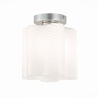 Светильник потолочный ST-Luce SL117.502.01