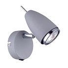 Настенный светильник Arte Lamp A1966AP-1GY Regista