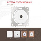 Розетка TV Arte Milano202.43-1.white am