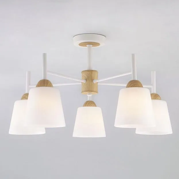 Потолочная люстра Eurosvet 70085/5 белый Fresco 00000083420