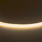 Лента гибкая неоновая Lightstar 430202 NEOLED