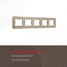 Рамка из поликарбоната на 5 постов Arte Milano 502.16-5.shampan am