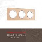 Рамка на 3 поста 502.13-3.shampan Arte Milano am
