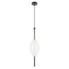 Подвесной светодиодный светильник Loft IT 10223/E White Venice