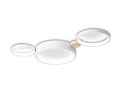 Настенно-потолочный светодиодный светильник с пультом Ambrella light FL4812 LineTech