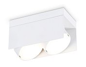 Накладной поворотный светильник Ambrella light TN70845/2