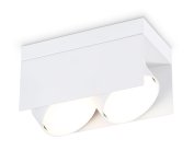Накладной поворотный светильник Ambrella light TN70845/2