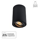 Светильник Потолочный Arte Lamp A1560PL-1BK SENTRY