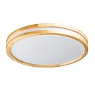 Потолочный светильник DeMarkt 660015401 Норден