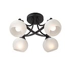 Потолочная люстра 4хЕ27 макс. 40Вт Vitaluce V2564-1/4PL