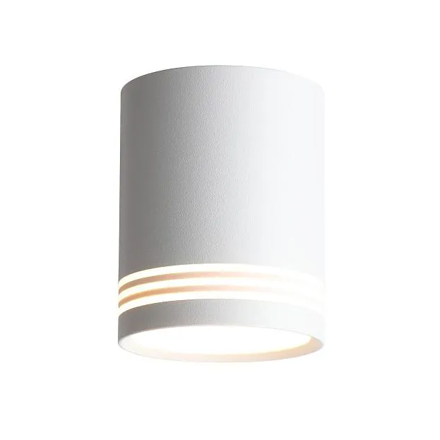 Светильник потолочный ST Luce ST101.502.12