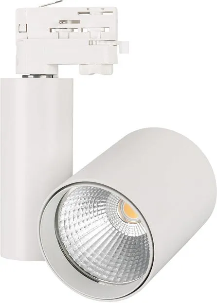 Трековый светильник Arlight 026387 LGD-SHOP-4TR FOOD Трековый светильник Arlight 026387 LGD-SHOP-4TR FOOD