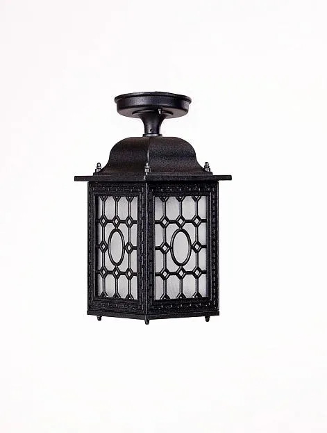 Потолочный светильник уличный Oasis Light 64805SA Bl LONDON S