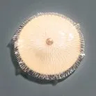 Настенный светильник Cloyd 20236 Mimesis