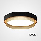 Потолочный Светильник Malia D45 Black Brass 4000К By Imperiumloft 223853-23