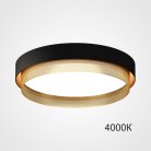 Потолочный Светильник Malia D45 Black Brass 4000К By Imperiumloft 223853-23