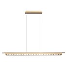 Подвесной светильни Odeon Light 7018/40LA PUNTO