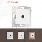 Розетка TV Arte Milano 203.43-1.white am