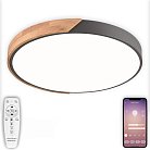 Потолочный светильник светодиодный Natali Kovaltseva LED LAMPS 81183 Scandinavian