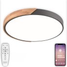 Потолочный светильник светодиодный Natali Kovaltseva LED LAMPS 81183 Scandinavian