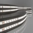 Лента светодиодная Elektrostandard 24V 8W 120Led 2116 IP20 a056426