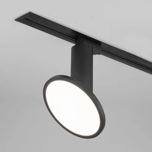 Трековый светильник Elektrostandard Brain Черный 12W 4200K (LTB50) однофазный a047378