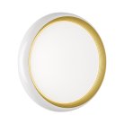 Настенно-потолочный светильник SONEX 7650/DL TOFIQ WHITE