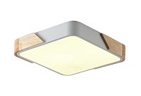 Светильник потолочный ZORTES ZRS.01285.36 ALBERRO