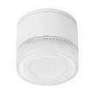 Уличный потолочный светильник Arte Lamp A1926PF-1WH PIAUTOS