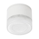 Уличный потолочный светильник Arte Lamp A1926PF-1WH PIAUTOS