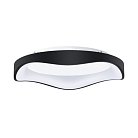 Потолочный светильник Arte Lamp A3085PL-56BK