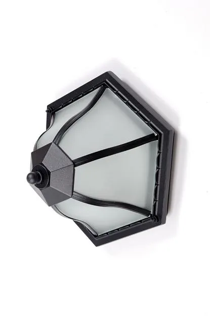 Потолочный светильник уличный Oasis Light 89425 Bl Потолочный светильник уличный Oasis Light 89425 Bl