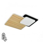 Потолочный светильник Sonex 7737/60L PINE
