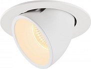 Встраиваемый светильник SLV 1006006 NUMINOS GIMBLE L DL