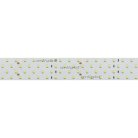 Светодиодная лента Arlight 019085(2) A280 36mm