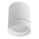Светильник Потолочный Arte Lamp A1909PL-1WH ELLE