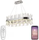 Подвесная люстра NATALI KOVALTSEVA LED LAMPS 81251