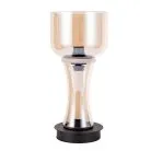 Настольная лампа Divinare 1243/17 TL-15 VOLTURN