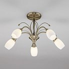 Потолочная люстра Eurosvet 30280/5 античная бронза Ginevra a043220