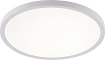 Потолочный светильник светодиодный Natali Kovaltseva LED LAMPS 81113/3C Plain 
